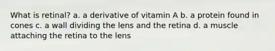 What is retinal? a. a derivative of vitamin A b. a protein found in cones c. a wall dividing the lens and the retina d. a muscle attaching the retina to the lens