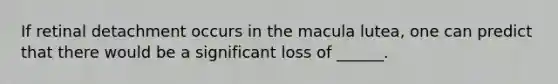 If retinal detachment occurs in the macula lutea, one can predict that there would be a significant loss of ______.