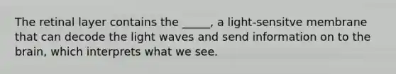 The retinal layer contains the _____, a light-sensitve membrane that can decode the light waves and send information on to the brain, which interprets what we see.