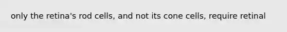 only the retina's rod cells, and not its cone cells, require retinal