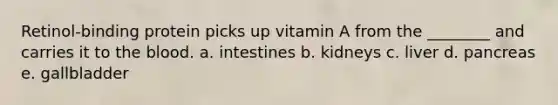 Retinol-binding protein picks up vitamin A from the ________ and carries it to the blood. a. intestines b. kidneys c. liver d. pancreas e. gallbladder