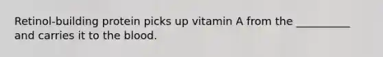 Retinol-building protein picks up vitamin A from the __________ and carries it to the blood.