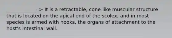 ____________--> It is a retractable, cone-like muscular structure that is located on the apical end of the scolex, and in most species is armed with hooks, the organs of attachment to the host's intestinal wall.