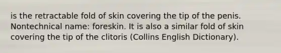 is the retractable fold of skin covering the tip of the penis. Nontechnical name: foreskin. It is also a similar fold of skin covering the tip of the clitoris (Collins English Dictionary).