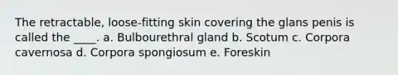 The retractable, loose-fitting skin covering the glans penis is called the ____. a. Bulbourethral gland b. Scotum c. Corpora cavernosa d. Corpora spongiosum e. Foreskin