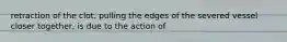 retraction of the clot, pulling the edges of the severed vessel closer together, is due to the action of