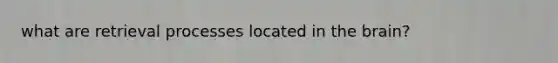 what are retrieval processes located in the brain?