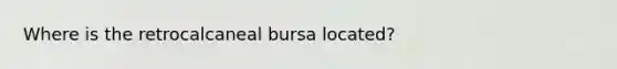 Where is the retrocalcaneal bursa located?