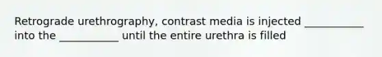 Retrograde urethrography, contrast media is injected ___________ into the ___________ until the entire urethra is filled