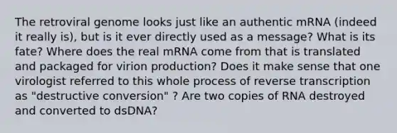 The retroviral genome looks just like an authentic mRNA (indeed it really is), but is it ever directly used as a message? What is its fate? Where does the real mRNA come from that is translated and packaged for virion production? Does it make sense that one virologist referred to this whole process of reverse transcription as "destructive conversion" ? Are two copies of RNA destroyed and converted to dsDNA?