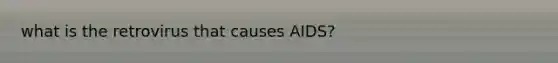 what is the retrovirus that causes AIDS?