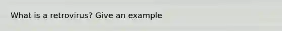 What is a retrovirus? Give an example