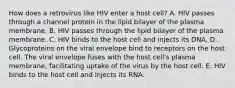 How does a retrovirus like HIV enter a host cell? A. HIV passes through a channel protein in the lipid bilayer of the plasma membrane. B. HIV passes through the lipid bilayer of the plasma membrane. C. HIV binds to the host cell and injects its DNA. D. Glycoproteins on the viral envelope bind to receptors on the host cell. The viral envelope fuses with the host cell's plasma membrane, facilitating uptake of the virus by the host cell. E. HIV binds to the host cell and injects its RNA.