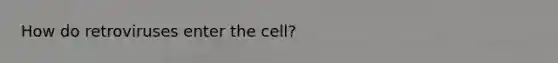 How do retroviruses enter the cell?