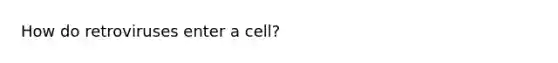 How do retroviruses enter a cell?