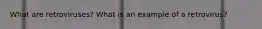 What are retroviruses? What is an example of a retrovirus?