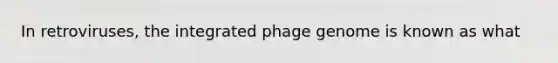 In retroviruses, the integrated phage genome is known as what