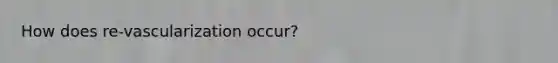 How does re-vascularization occur?