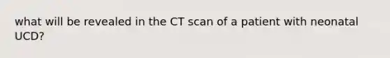 what will be revealed in the CT scan of a patient with neonatal UCD?