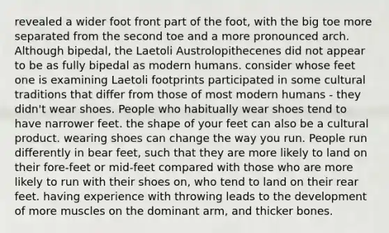 revealed a wider foot front part of the foot, with the big toe more separated from the second toe and a more pronounced arch. Although bipedal, the Laetoli Austrolopithecenes did not appear to be as fully bipedal as modern humans. consider whose feet one is examining Laetoli footprints participated in some cultural traditions that differ from those of most modern humans - they didn't wear shoes. People who habitually wear shoes tend to have narrower feet. the shape of your feet can also be a cultural product. wearing shoes can change the way you run. People run differently in bear feet, such that they are more likely to land on their fore-feet or mid-feet compared with those who are more likely to run with their shoes on, who tend to land on their rear feet. having experience with throwing leads to the development of more muscles on the dominant arm, and thicker bones.