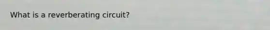 What is a reverberating circuit?