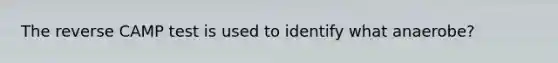 The reverse CAMP test is used to identify what anaerobe?