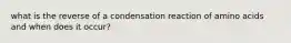 what is the reverse of a condensation reaction of amino acids and when does it occur?