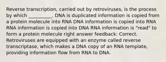 Reverse transcription, carried out by retroviruses, is the process by which __________. DNA is duplicated information is copied from a protein molecule into RNA DNA information is copied into RNA RNA information is copied into DNA RNA information is "read" to form a protein molecule right answer feedback: Correct. Retroviruses are equipped with an enzyme called reverse transcriptase, which makes a DNA copy of an RNA template, providing information flow from RNA to DNA.