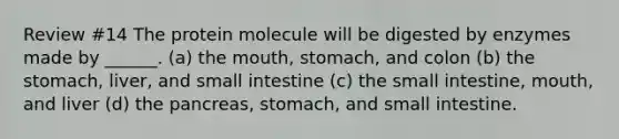 Review #14 The protein molecule will be digested by enzymes made by ______. (a) the mouth, stomach, and colon (b) the stomach, liver, and small intestine (c) the small intestine, mouth, and liver (d) the pancreas, stomach, and small intestine.