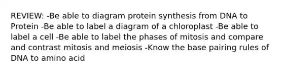 REVIEW: -Be able to diagram protein synthesis from DNA to Protein -Be able to label a diagram of a chloroplast -Be able to label a cell -Be able to label the phases of mitosis and compare and contrast mitosis and meiosis -Know the base pairing rules of DNA to amino acid