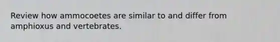Review how ammocoetes are similar to and differ from amphioxus and vertebrates.