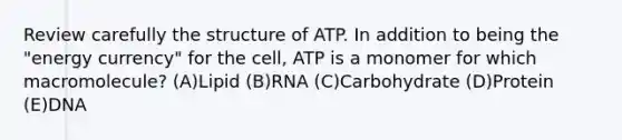 Review carefully the structure of ATP. In addition to being the "energy currency" for the cell, ATP is a monomer for which macromolecule? (A)Lipid (B)RNA (C)Carbohydrate (D)Protein (E)DNA