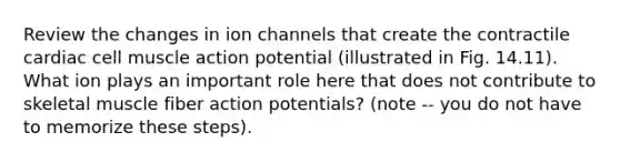 Review the changes in ion channels that create the contractile cardiac cell muscle action potential (illustrated in Fig. 14.11). What ion plays an important role here that does not contribute to skeletal muscle fiber action potentials? (note -- you do not have to memorize these steps).