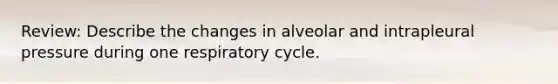 Review: Describe the changes in alveolar and intrapleural pressure during one respiratory cycle.