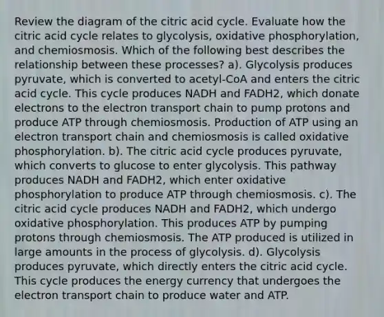 Review the diagram of the citric acid cycle. Evaluate how the citric acid cycle relates to glycolysis, oxidative phosphorylation, and chemiosmosis. Which of the following best describes the relationship between these processes? a). Glycolysis produces pyruvate, which is converted to acetyl-CoA and enters the citric acid cycle. This cycle produces NADH and FADH2, which donate electrons to the electron transport chain to pump protons and produce ATP through chemiosmosis. Production of ATP using an electron transport chain and chemiosmosis is called oxidative phosphorylation. b). The citric acid cycle produces pyruvate, which converts to glucose to enter glycolysis. This pathway produces NADH and FADH2, which enter oxidative phosphorylation to produce ATP through chemiosmosis. c). The citric acid cycle produces NADH and FADH2, which undergo oxidative phosphorylation. This produces ATP by pumping protons through chemiosmosis. The ATP produced is utilized in large amounts in the process of glycolysis. d). Glycolysis produces pyruvate, which directly enters the citric acid cycle. This cycle produces the energy currency that undergoes the electron transport chain to produce water and ATP.