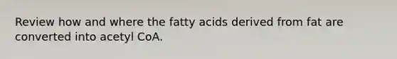 Review how and where the fatty acids derived from fat are converted into acetyl CoA.