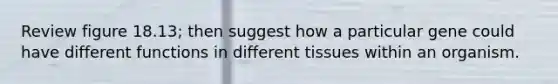 Review figure 18.13; then suggest how a particular gene could have different functions in different tissues within an organism.