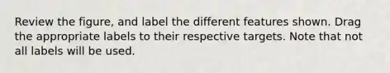 Review the figure, and label the different features shown. Drag the appropriate labels to their respective targets. Note that not all labels will be used.