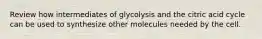 Review how intermediates of glycolysis and the citric acid cycle can be used to synthesize other molecules needed by the cell.