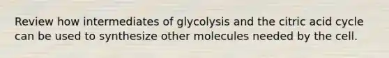 Review how intermediates of glycolysis and the citric acid cycle can be used to synthesize other molecules needed by the cell.