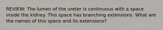 REVIEW: The lumen of the ureter is continuous with a space inside the kidney. This space has branching extensions. What are the names of this space and its extensions?