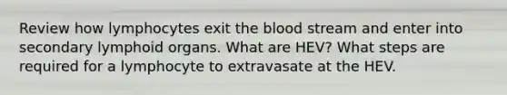 Review how lymphocytes exit the blood stream and enter into secondary lymphoid organs. What are HEV? What steps are required for a lymphocyte to extravasate at the HEV.