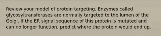 Review your model of protein targeting. Enzymes called glycosyltransferases are normally targeted to the lumen of the Golgi. If the ER signal sequence of this protein is mutated and can no longer function, predict where the protein would end up.