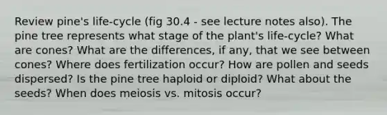 Review pine's life-cycle (fig 30.4 - see lecture notes also). The pine tree represents what stage of the plant's life-cycle? What are cones? What are the differences, if any, that we see between cones? Where does fertilization occur? How are pollen and seeds dispersed? Is the pine tree haploid or diploid? What about the seeds? When does meiosis vs. mitosis occur?