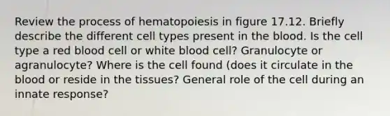 Review the process of hematopoiesis in figure 17.12. Briefly describe the different cell types present in <a href='https://www.questionai.com/knowledge/k7oXMfj7lk-the-blood' class='anchor-knowledge'>the blood</a>. Is the cell type a red blood cell or white blood cell? Granulocyte or agranulocyte? Where is the cell found (does it circulate in the blood or reside in the tissues? General role of the cell during an innate response?