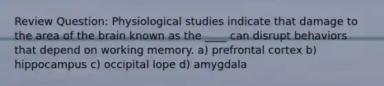 Review Question: Physiological studies indicate that damage to the area of the brain known as the ____ can disrupt behaviors that depend on working memory. a) prefrontal cortex b) hippocampus c) occipital lope d) amygdala