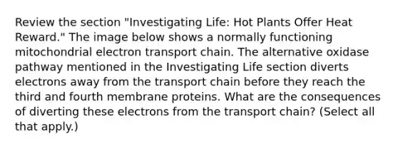 Review the section "Investigating Life: Hot Plants Offer Heat Reward." The image below shows a normally functioning mitochondrial electron transport chain. The alternative oxidase pathway mentioned in the Investigating Life section diverts electrons away from the transport chain before they reach the third and fourth membrane proteins. What are the consequences of diverting these electrons from the transport chain? (Select all that apply.)