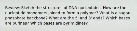 Review: Sketch the structures of DNA nucleotides. How are the nucleotide monomers joined to form a polymer? What is a sugar-phosphate backbone? What are the 5' and 3' ends? Which bases are purines? Which bases are pyrimidines?