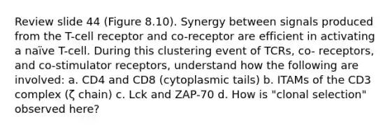 Review slide 44 (Figure 8.10). Synergy between signals produced from the T-cell receptor and co-receptor are efficient in activating a naïve T-cell. During this clustering event of TCRs, co- receptors, and co-stimulator receptors, understand how the following are involved: a. CD4 and CD8 (cytoplasmic tails) b. ITAMs of the CD3 complex (ζ chain) c. Lck and ZAP-70 d. How is "clonal selection" observed here?