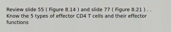 Review slide 55 ( Figure 8.14 ) and slide 77 ( Figure 8.21 ) . . Know the 5 types of effector CD4 T cells and their effector functions